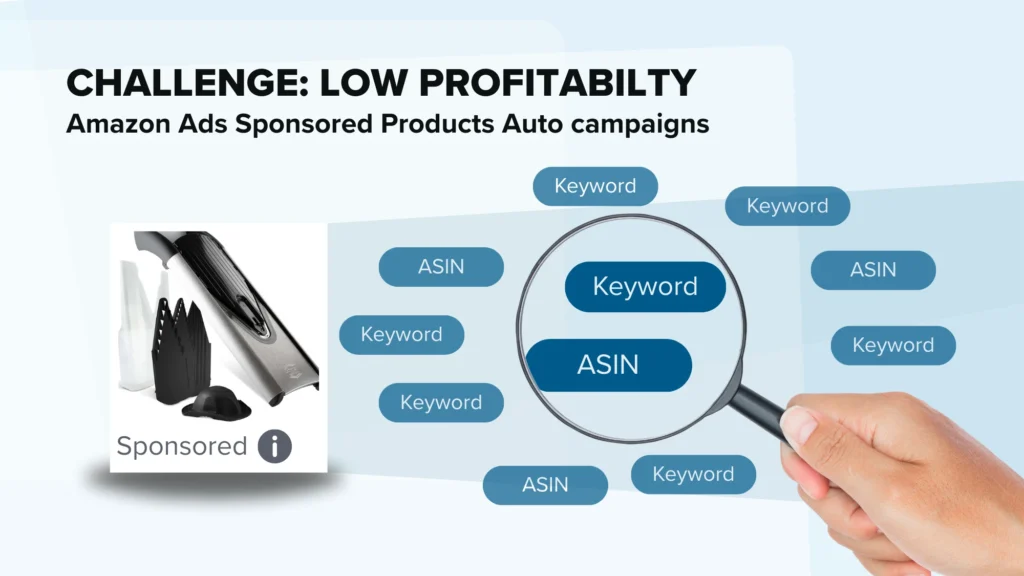 Challenge was low profitability of Amazon Ads