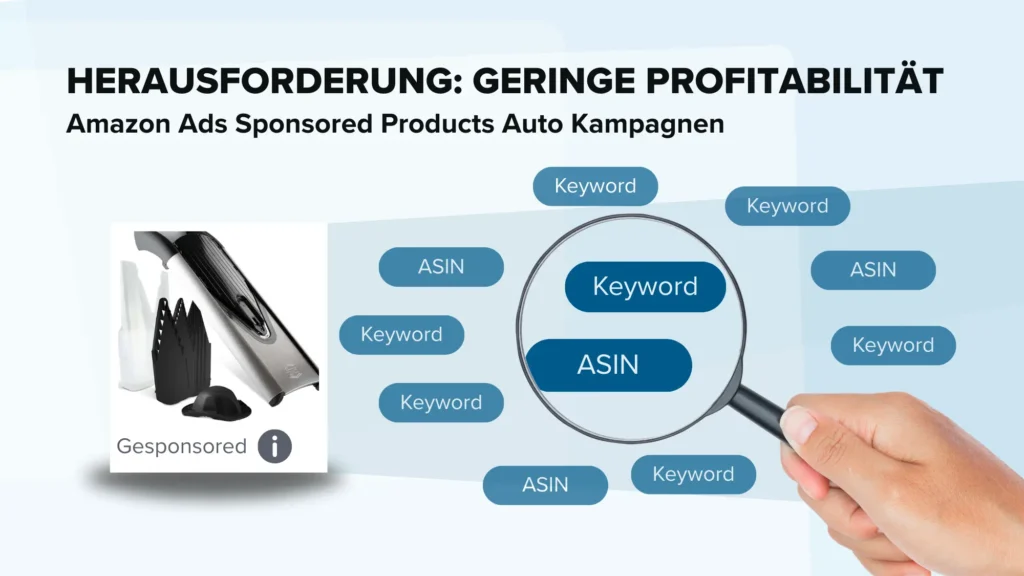 Die geringe Rentabilität von Amazon Ads war eine Herausforderung